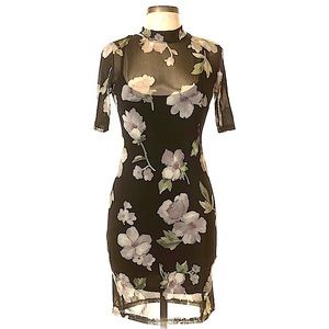 Potter’s Pot 90s Sheer Dress